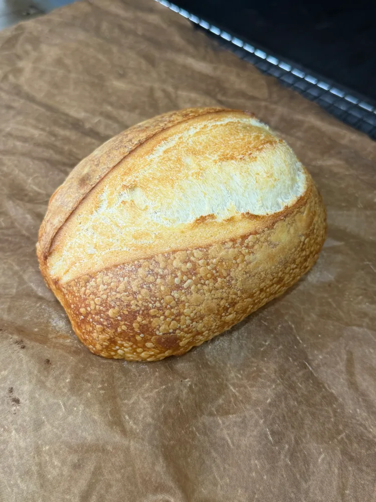 Sourdough · Mẫu 4