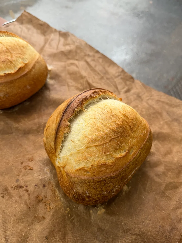 Sourdough · Mẫu 2